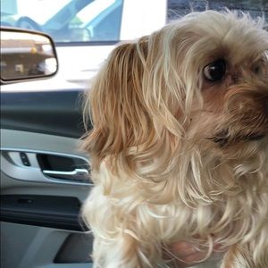 Meet your Posher, Kelly